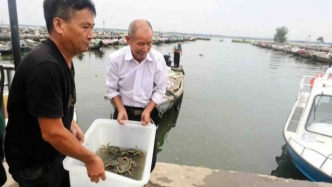 苏州阳澄湖大闸蟹开捕上市啦！