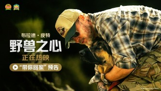 布拉德·皮特新片《野兽之心》今日上映 人犬情深奋力寻找回家之路