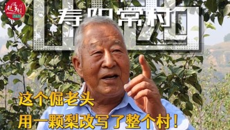 山西寿阳常村一个倔老头，跟玉露香梨死磕30多年