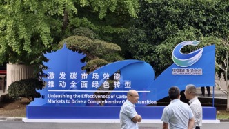 金融机构如何参与碳市场？