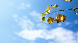 广东人请查收：假期尾声晴到少云，粤北早晚清凉