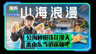 公海种田漫天铁花，来山东当逍遥仙