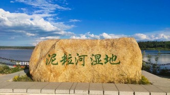 长白的秋，一半林海，一半湿地