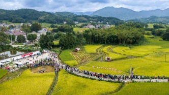“串城”奔县游持续升温，“原生风景”吸引游客深入小城乡村
