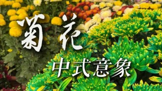 中国传统文化中菊花是什么含义？