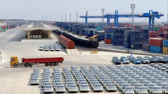 从5000亿起跳——新疆外贸的质变之路