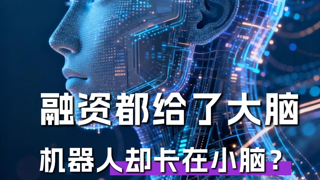 融资都给了大脑,机器人却卡在小脑?