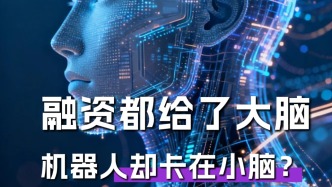 融资都给了大脑，机器人却卡在小脑？