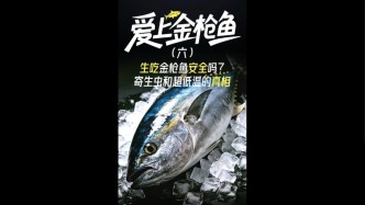生吃金枪鱼安全吗？寄生虫和超低温的真相#三农万象