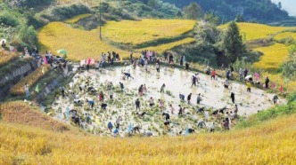 怀化溆浦县：云上梯田庆丰收