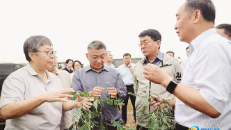 盐碱滩上，两位院士种好“草”