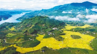 三亚育才生态区以“小切口”做好民生“大实事”，提升百姓幸福感获得感