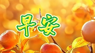 晨起纳祥瑞，送上真挚美好的祝福，早安，祝您万事和顺，“柿柿” 如意