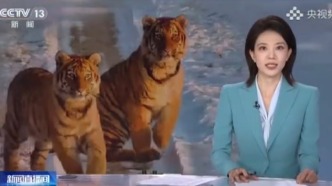 美丽中国行，探秘东北虎豹国家公园