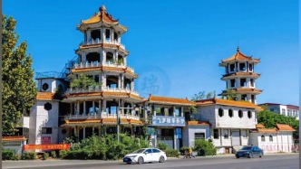 沙河白塔镇双塔：见证冀南乡土变迁丨河北邢台