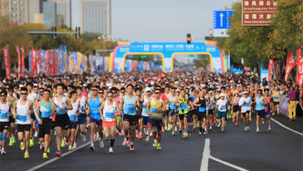 跑完一场东马，赴一场鸟浪之约！爱心陪跑团为14位70周岁以上参赛选手全程守护