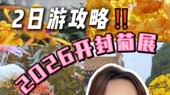 2026开封菊花文化节2日游攻略