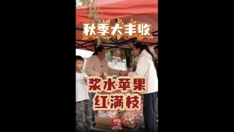 秋季大丰收，浆水苹果红满枝！