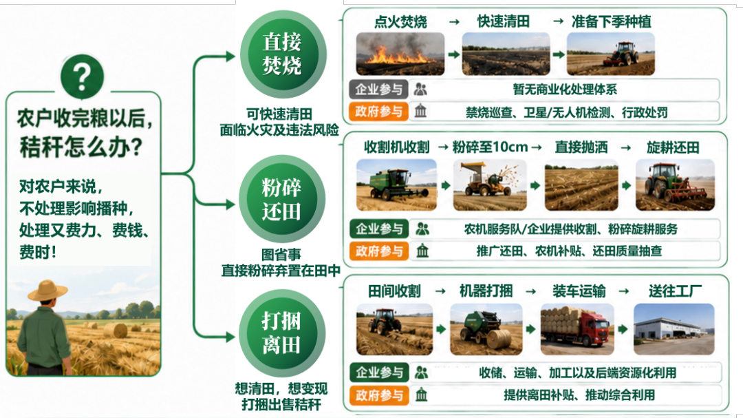 以科学之名赴家乡之约华东师大“科学回家”项目结项：青春答卷写在大地之上