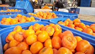从明清贡品到城市新坐标，“曹州耿饼”焕发新生机