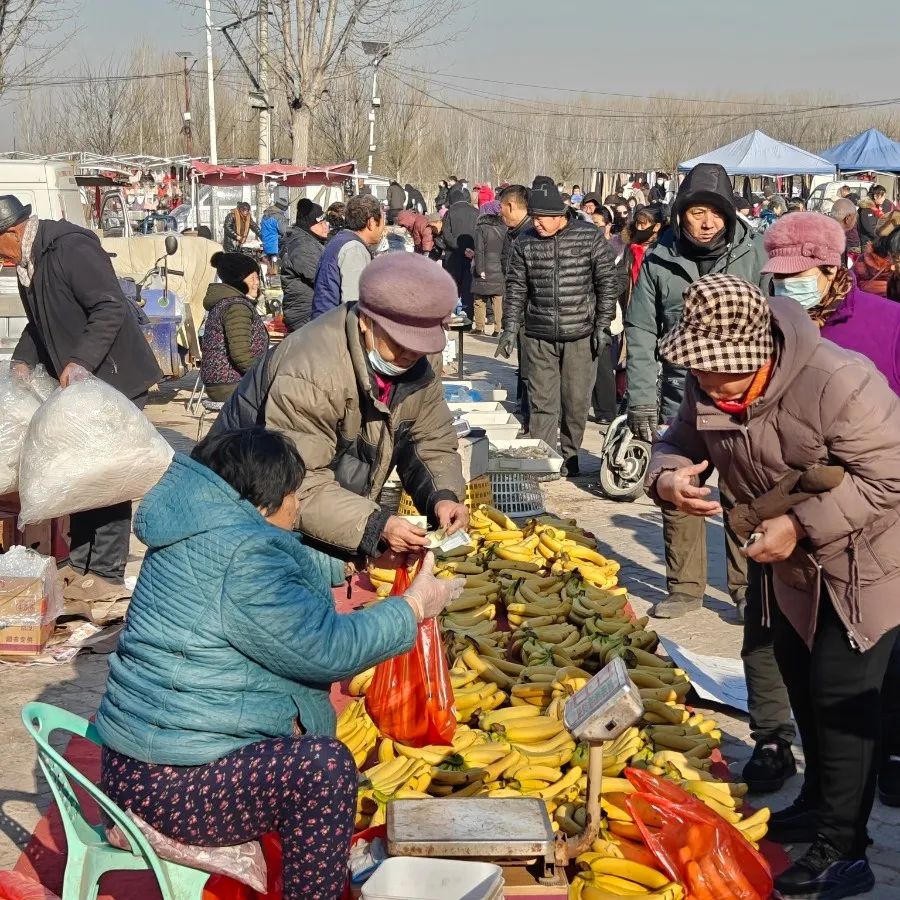 市区免费公交直达!武清260年大集太火爆了