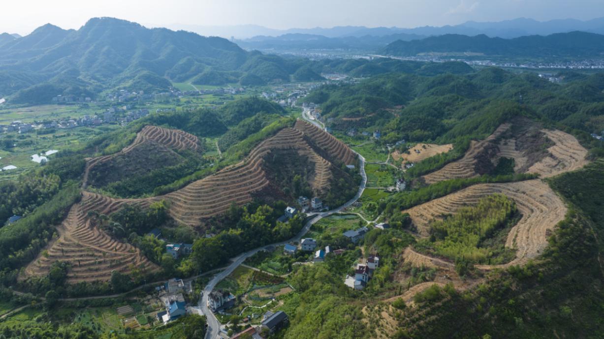 “两山”回响 | 衢州集体林权制度改革：绿水青山间的创新实践