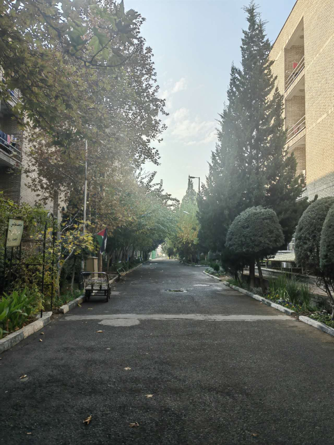 我在德黑兰大学的校园生活
