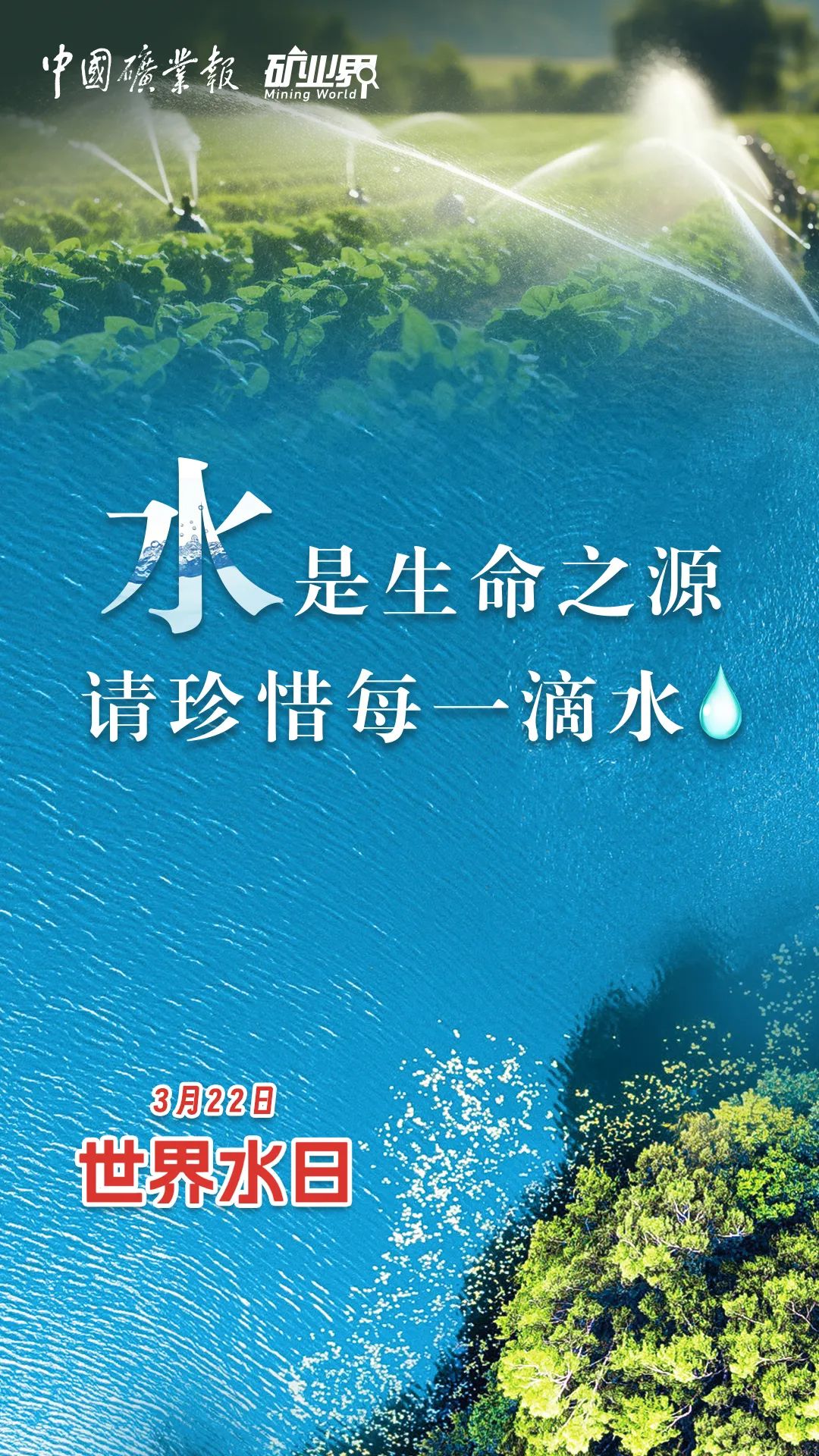 世界水日丨水是生命之源,请珍惜每一滴水