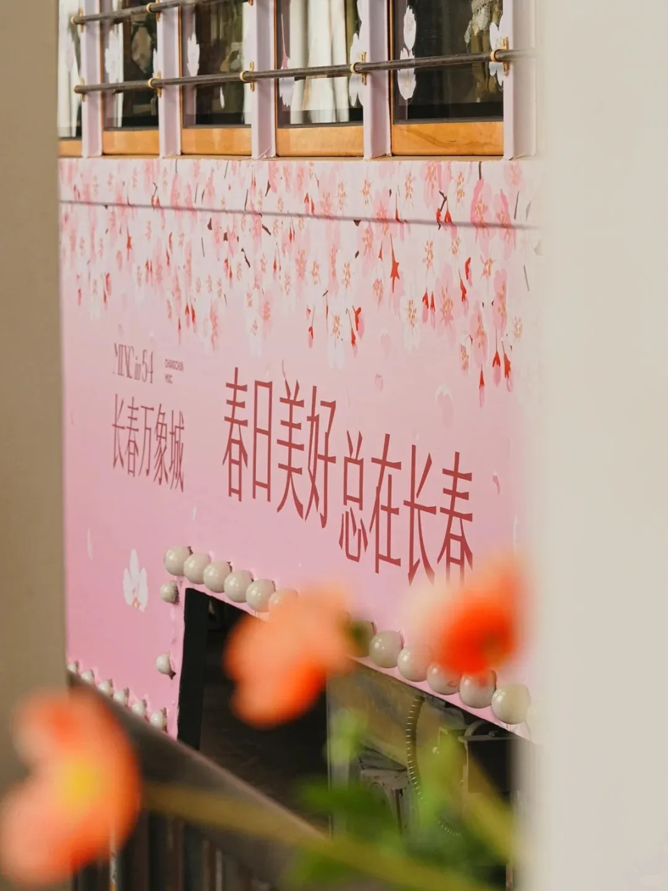 长春春日必追+2！消息灵通的人已经去合拍啦