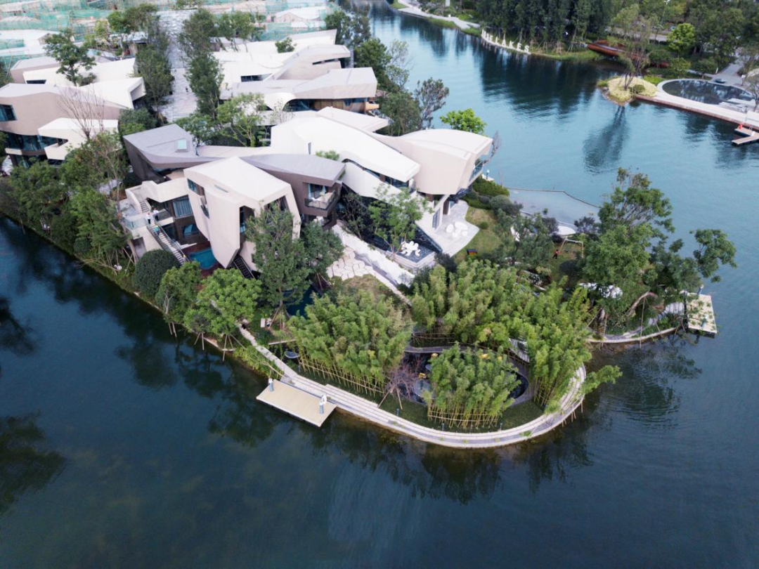 特稿|共建共享，成都麓湖“与我有关”的生态实践启示