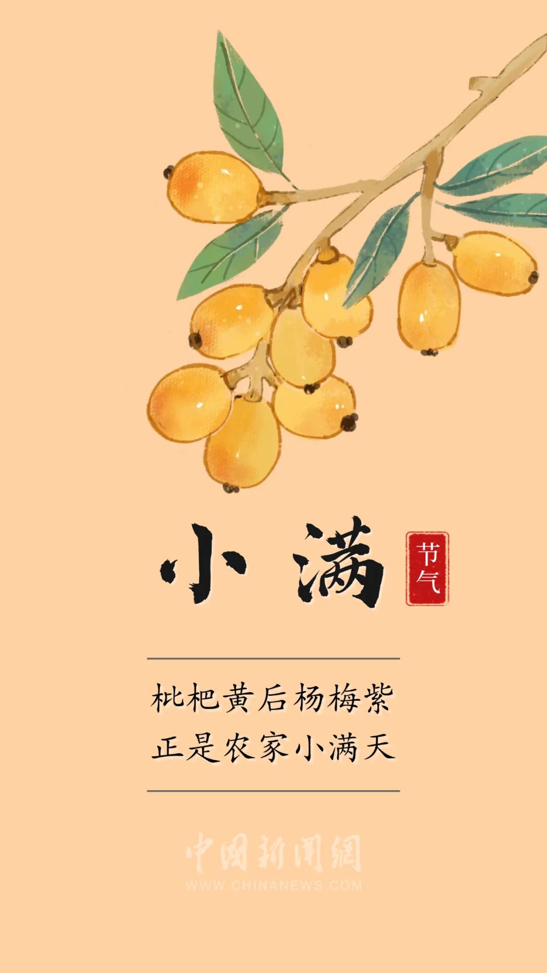 你的小满朋友圈文案,来了