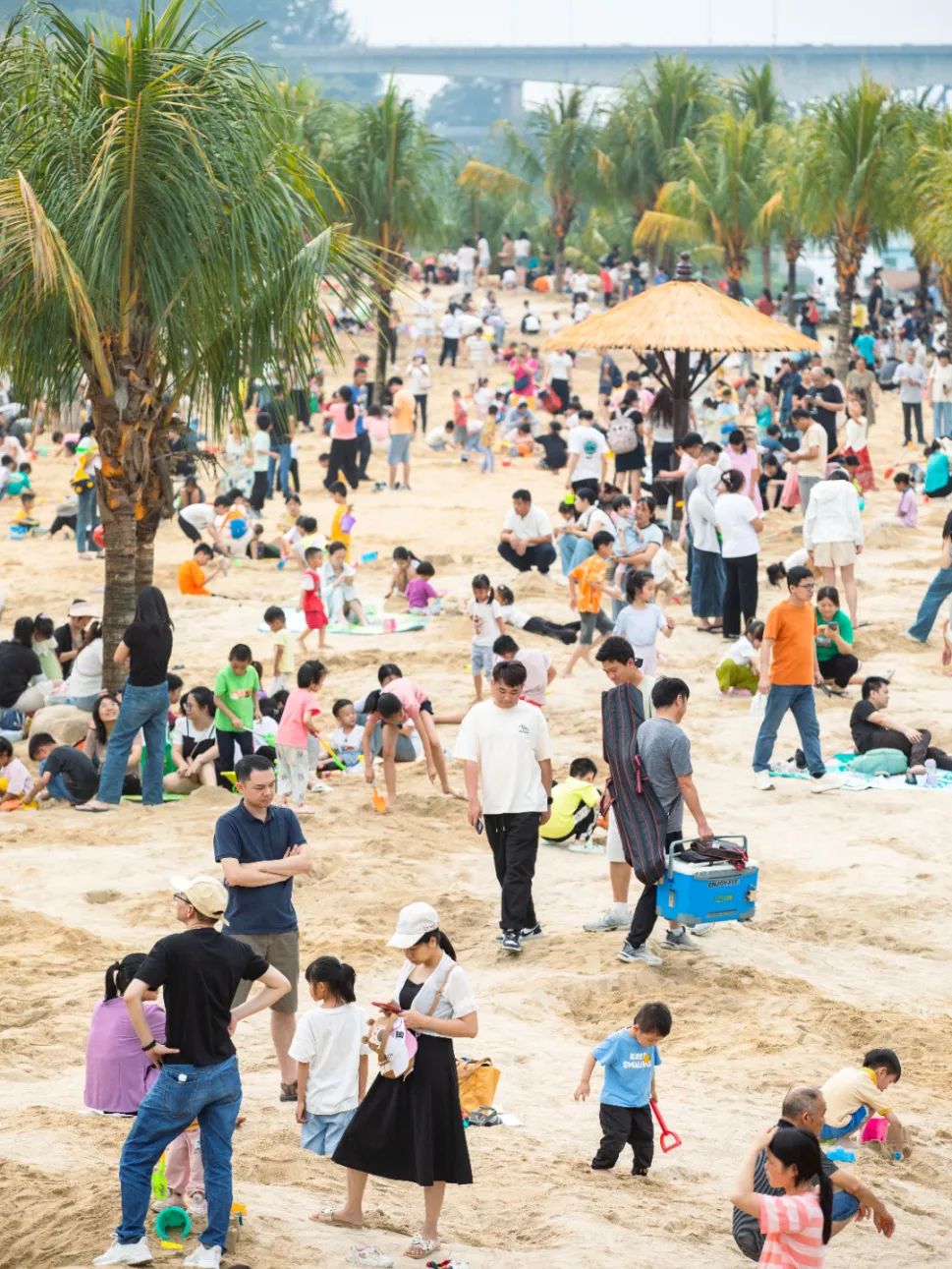 金沙滩爆火催热"假日经济","百千万工程"托起高要青年创业梦