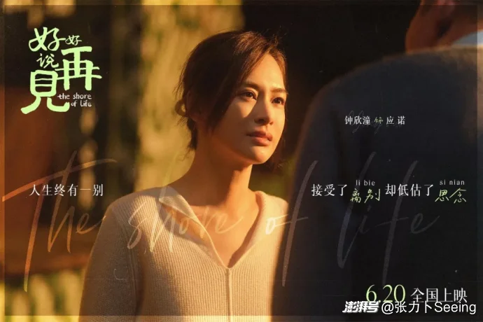当死亡温柔敲门:《好好说再见》的治愈叙事与社会叩问
