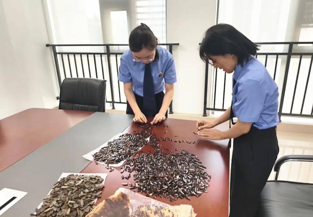 玳瑁古筝义甲为何禁而不止?这堂法治课破除“音色迷信”