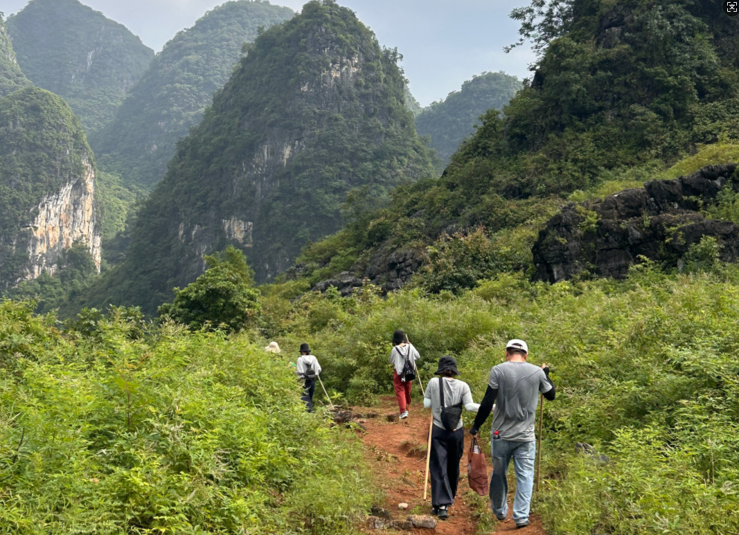 怀集桥头这条古道,火了!