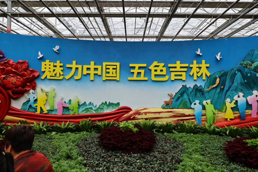 长春农博会火热开幕!