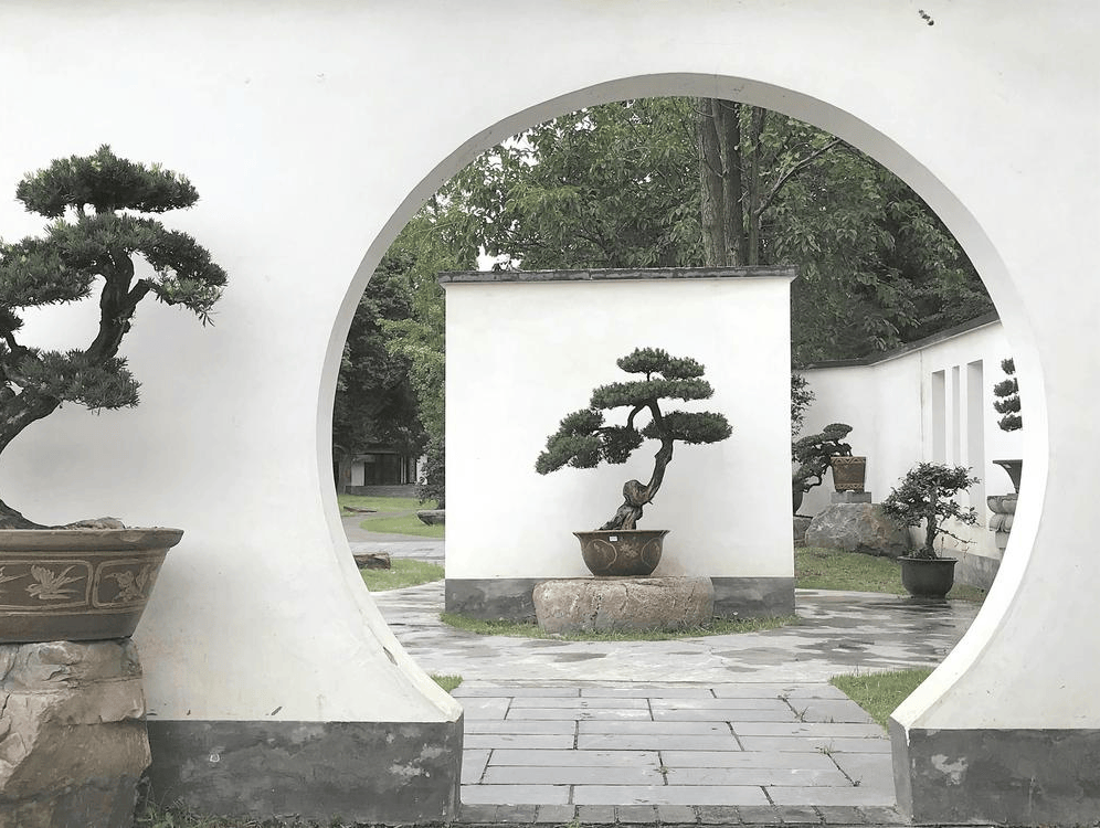 川派盆景:盈尺之间见山河‖温月
