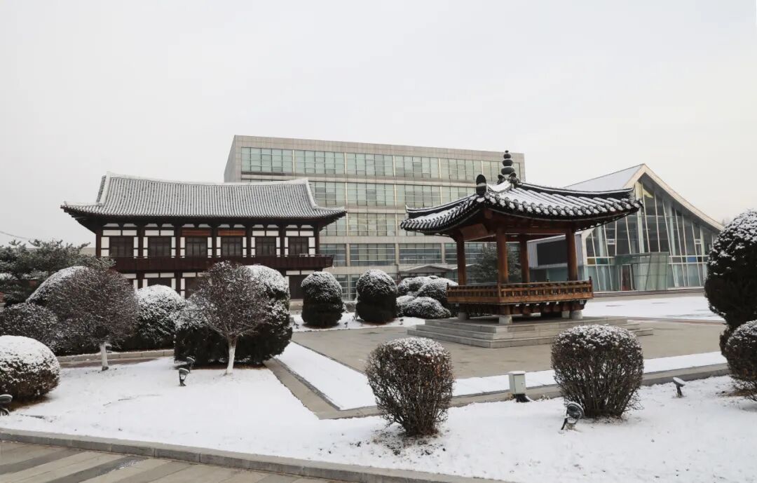 告别千篇一律的冬天！图们冰雪研学，让自然、历史与青春撞个满怀