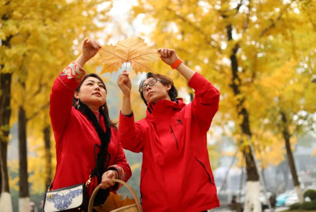 【视觉】“80后”夫妻匠心琢叶，让落叶涅槃重生