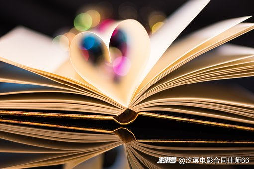 授权小说改编成电视剧,是否也包含网络剧?