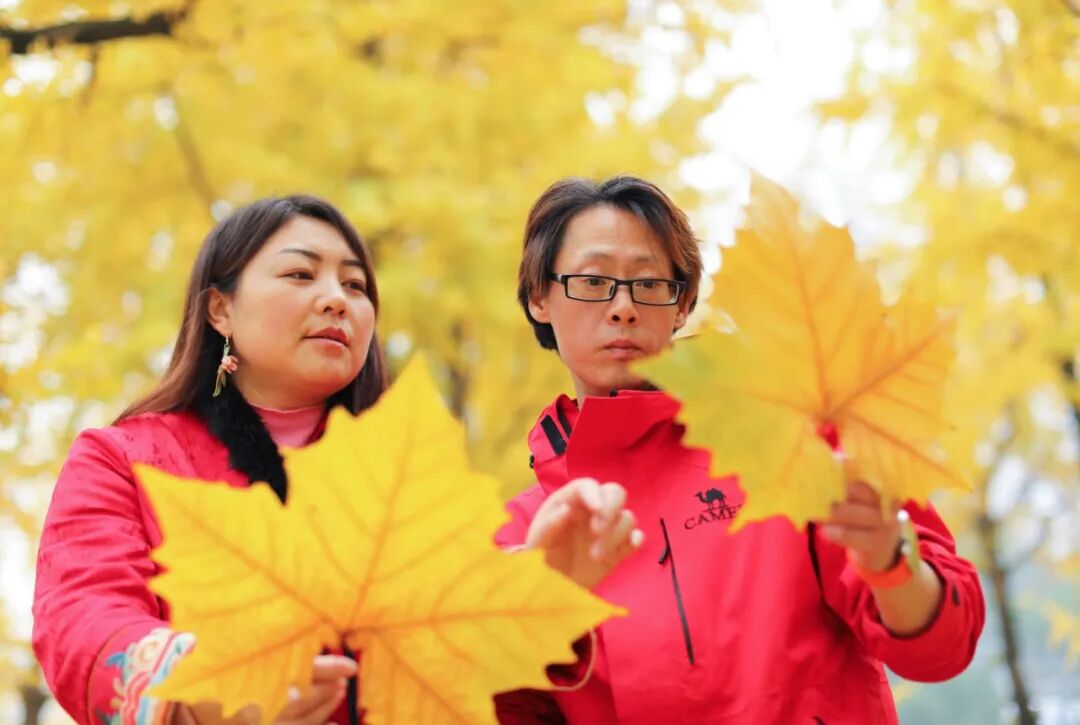 【视觉】“80后”夫妻匠心琢叶，让落叶涅槃重生