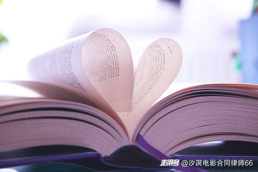 授权小说改编成电视剧,是否也包含网络剧?
