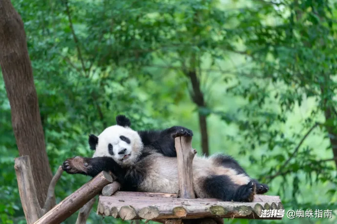 中国最值得去的10大千年古都，随便挑一个都超好玩，此生全部走遍！