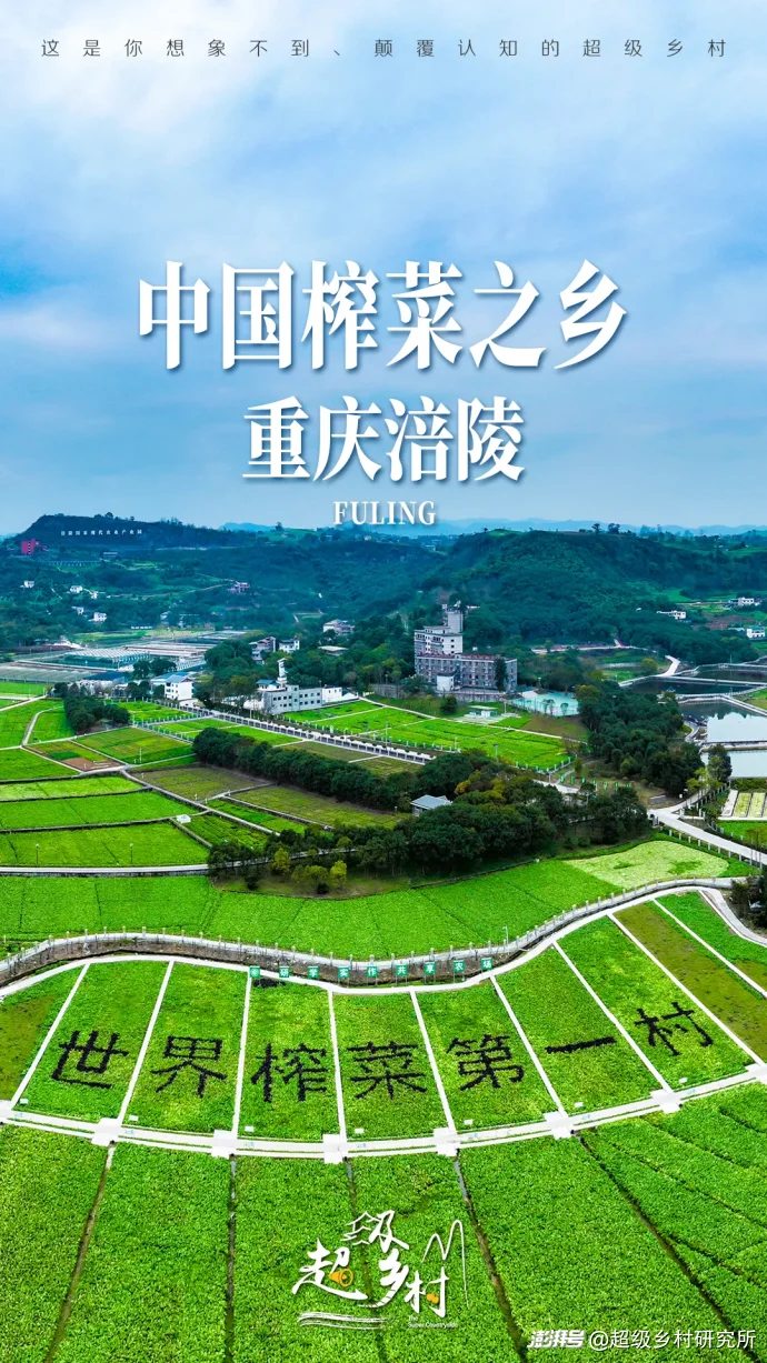 重庆不起眼的一种蔬菜,却在全球热销150亿包,拿捏全球华人的胃