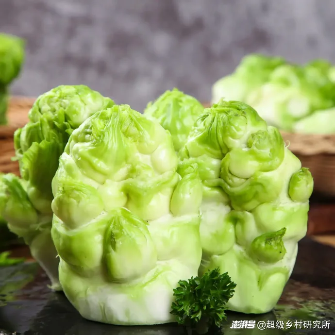 重庆不起眼的一种蔬菜,却在全球热销150亿包,拿捏全球华人的胃
