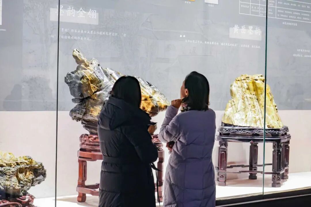 元旦Citywalk新地标！博物馆里解锁“古今同框”