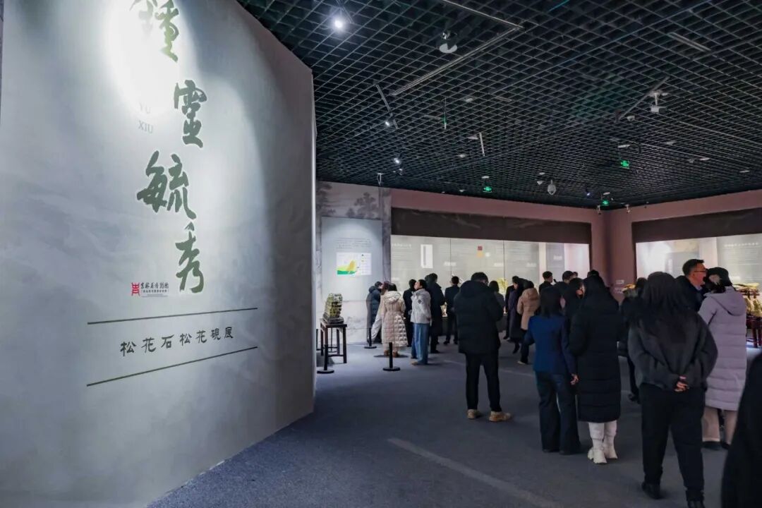 元旦Citywalk新地标！博物馆里解锁“古今同框”