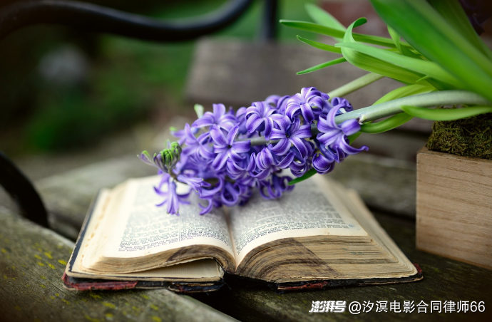 电视剧素材著作权转让合同解除时,是否应包含著作权归属的诉请?