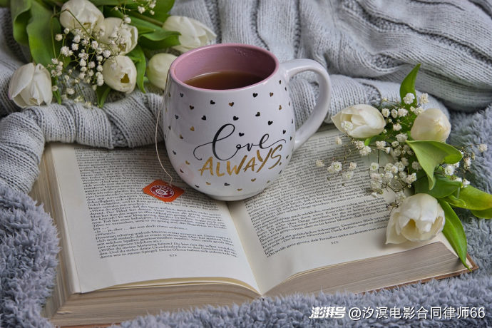 电视剧素材著作权转让合同解除时,是否应包含著作权归属的诉请?