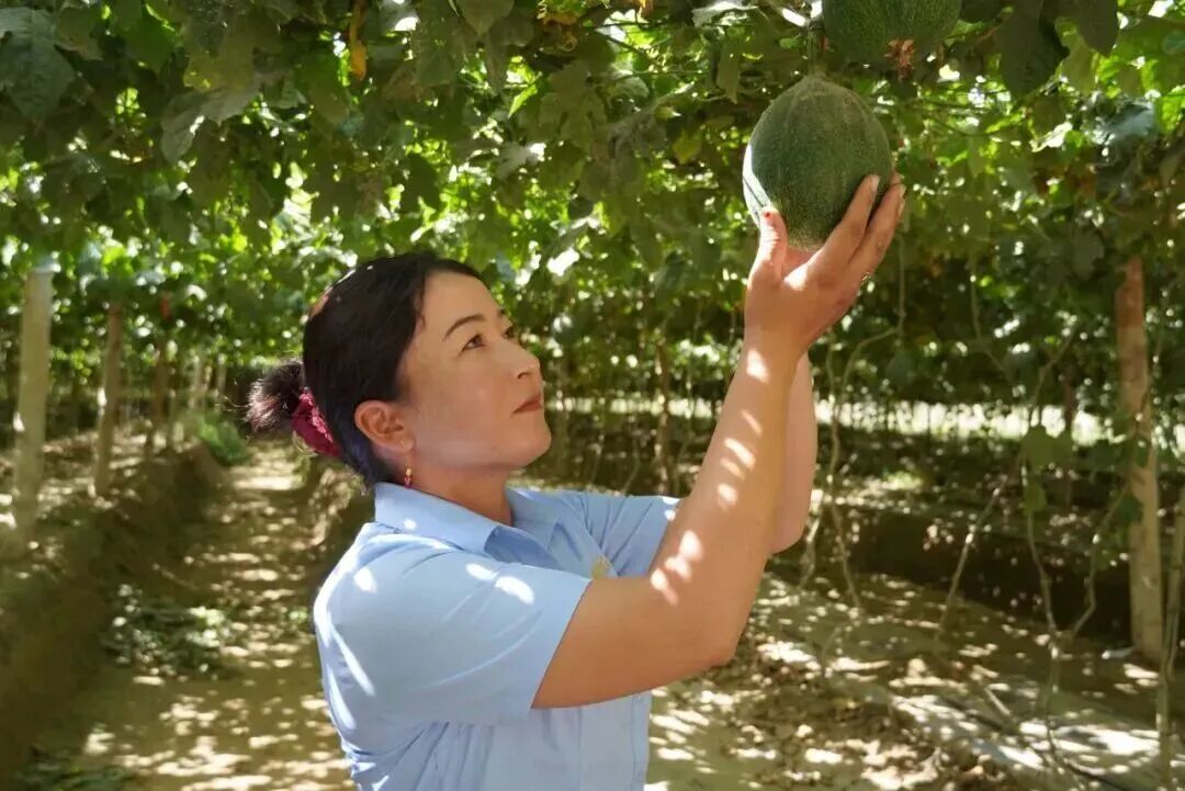 理解和把握中华民族共同体建设的三个维度
